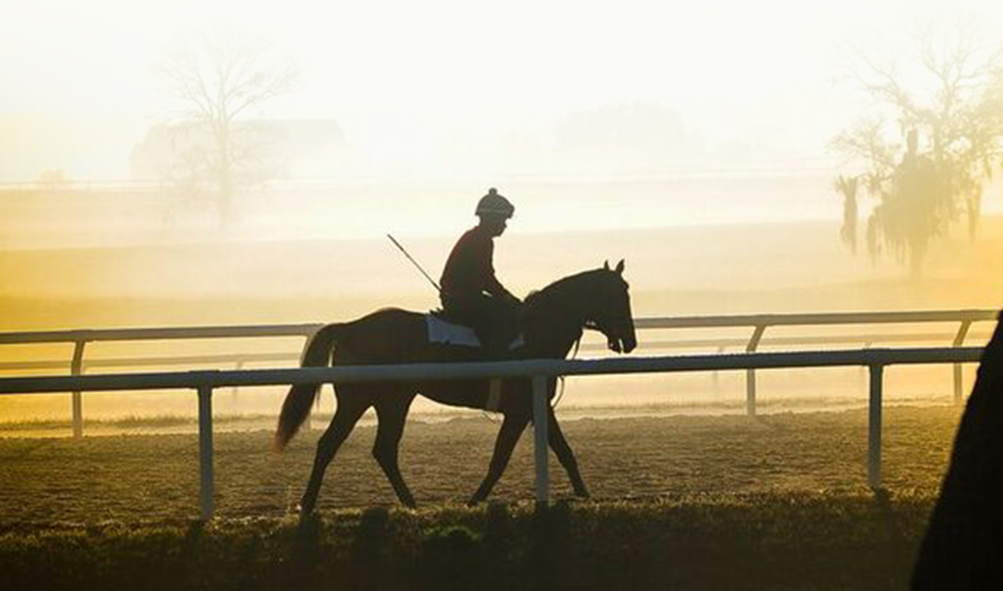 Wavertree Stables