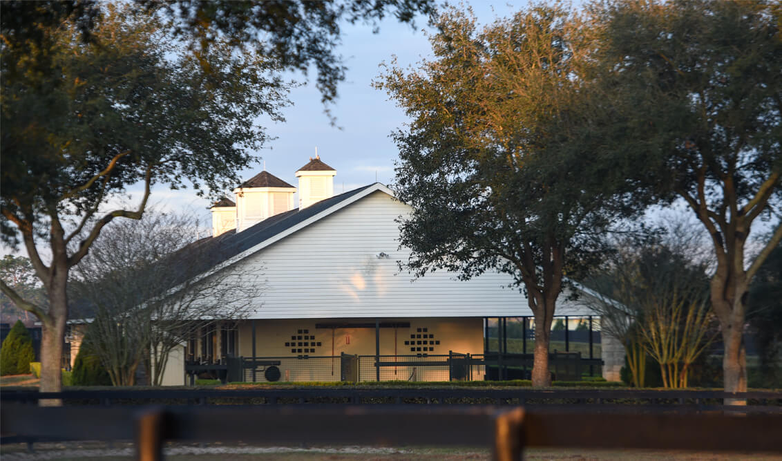 Wavertree Stables