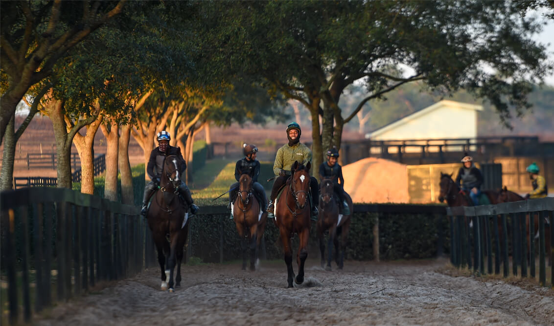 Wavertree Stables