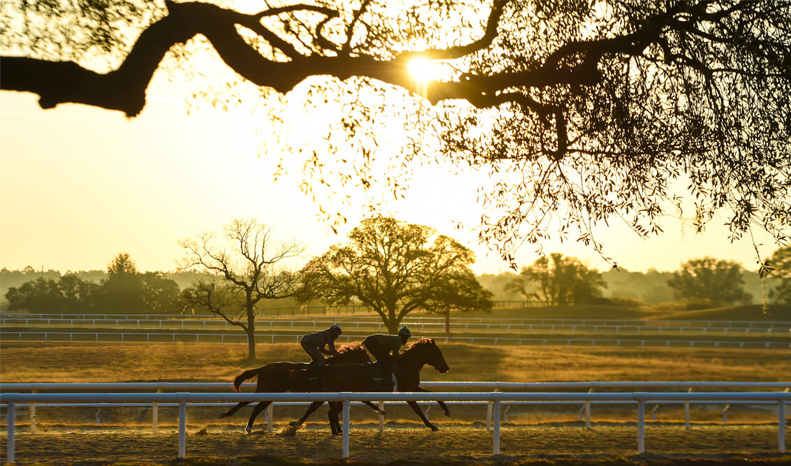 Wavertree Stables