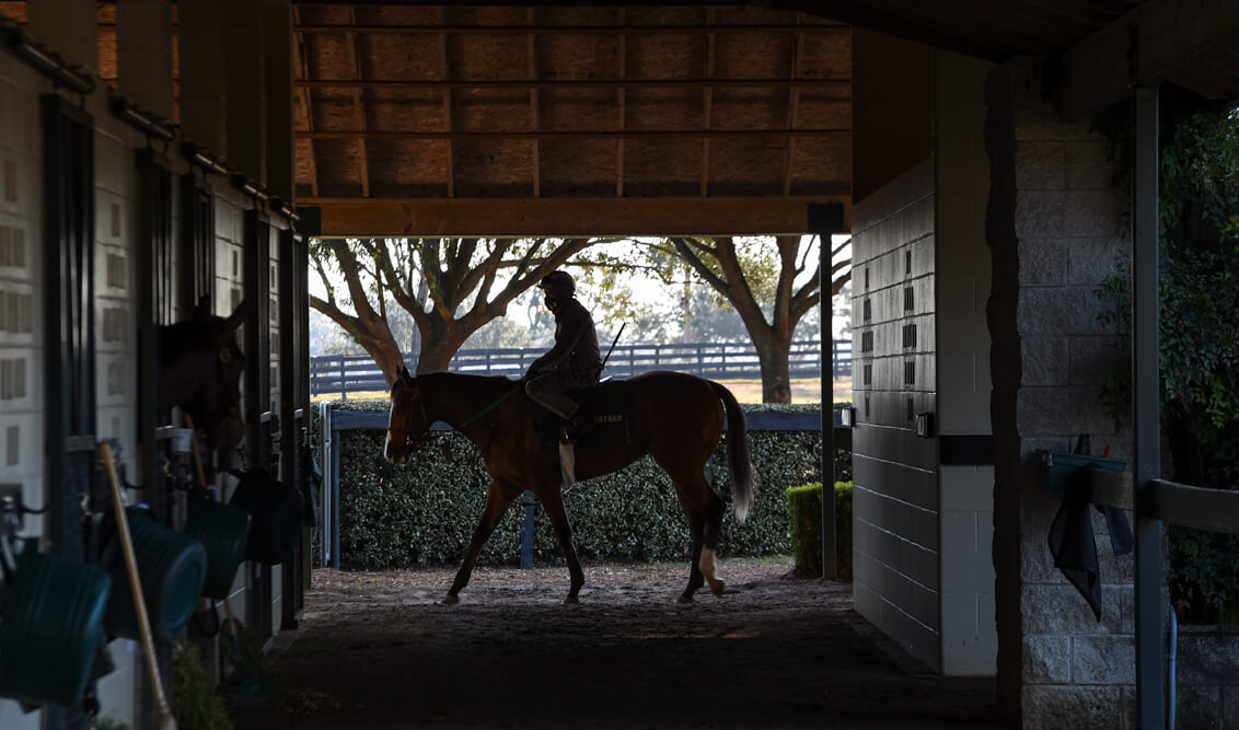 Wavertree Stables